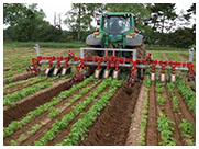 Green Earth T Series Inner Row Tillers